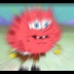 Meet your Posher, Marcus